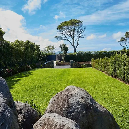 Your Azorean Rral 3378