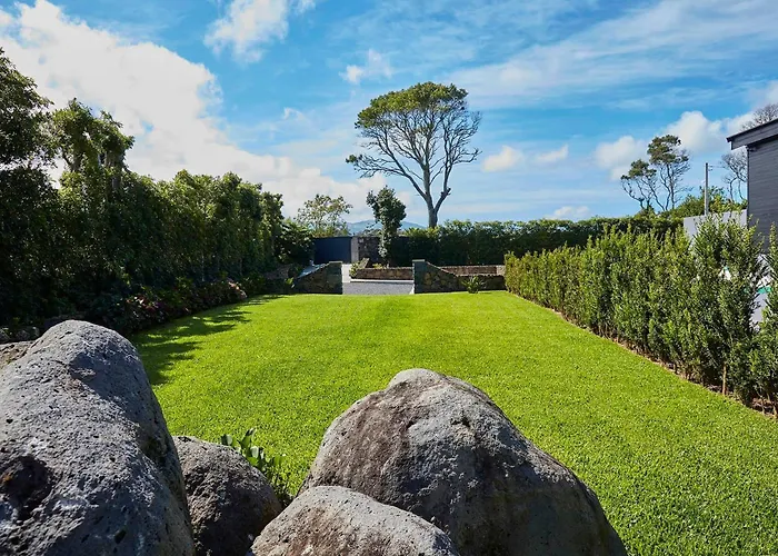 Your Azorean Rral 3378